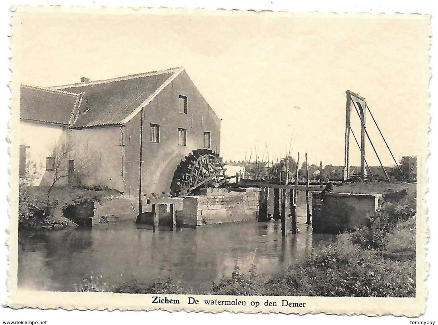 CPA Zichem, De Watermolen Op Den Demer - Scherpenheuvel-Zichem