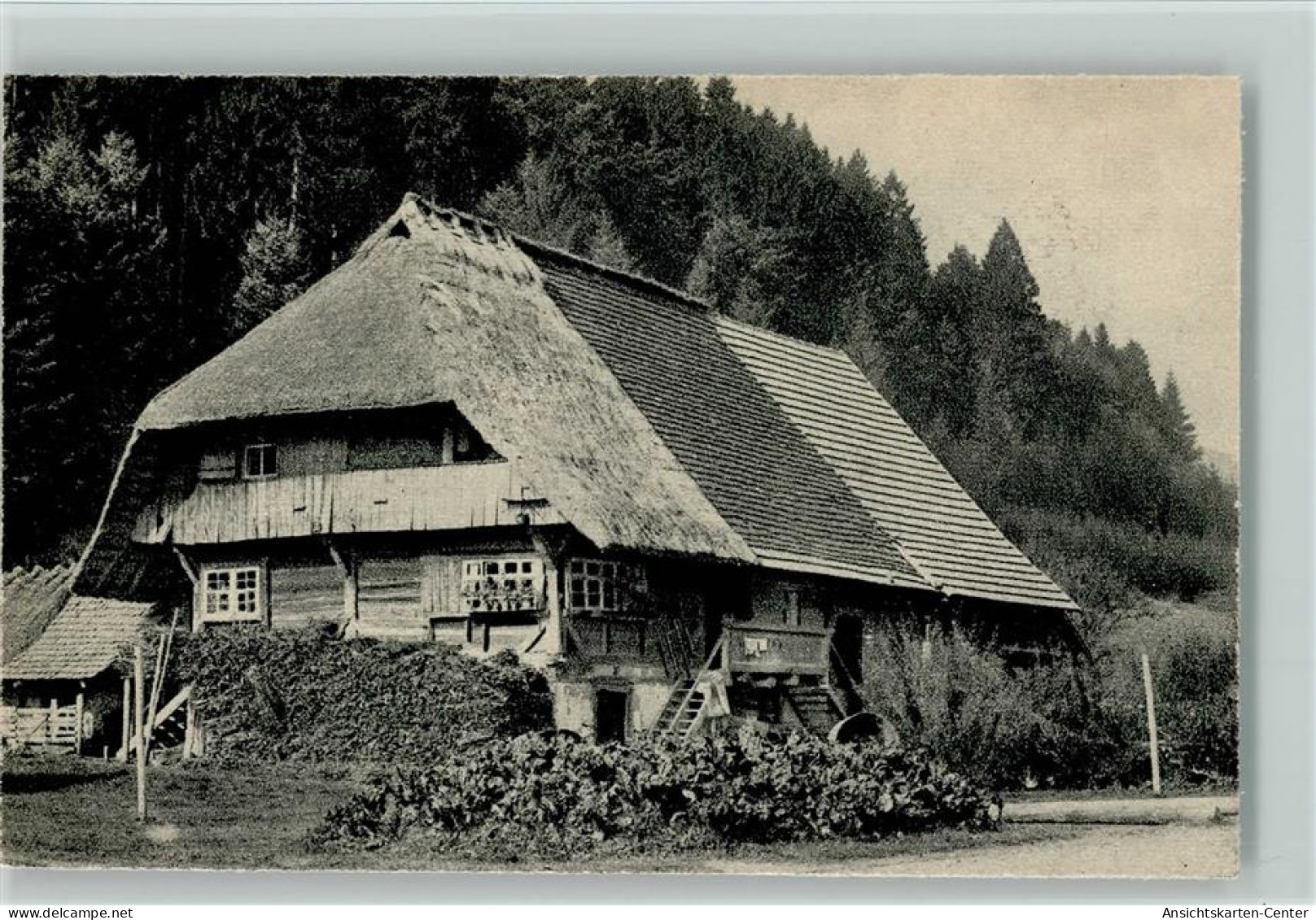 12072902 - Schwarzwald Haeuser Altes Bauernhaus - Hochschwarzwald