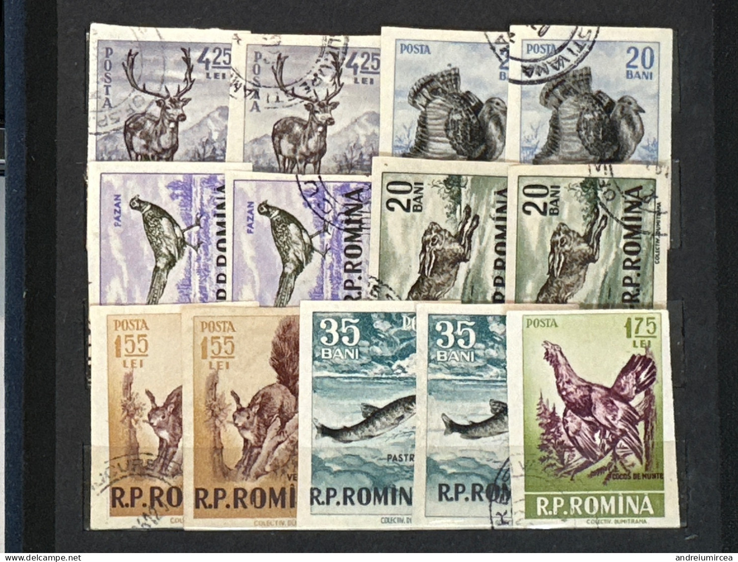 Lot Vânătoarea Nedantelate ștampilate - Used Stamps