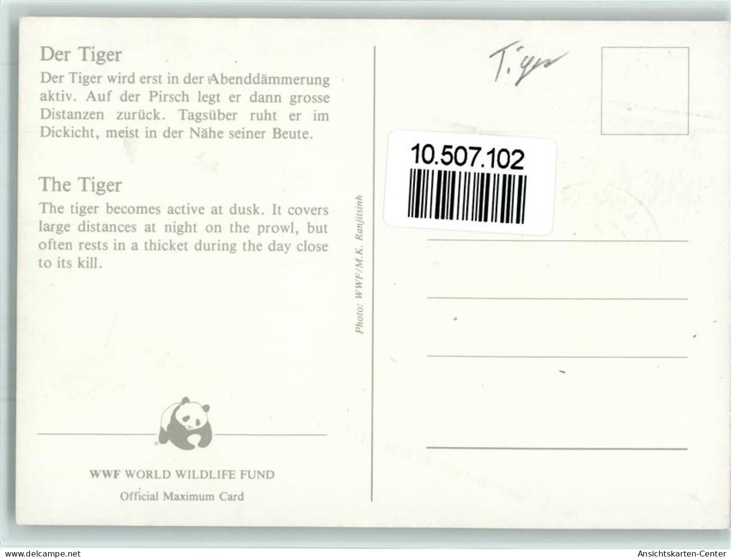 10507102 - Raubkatzen Tiger - WWF Karte Mit Briefmarke - Leeuwen