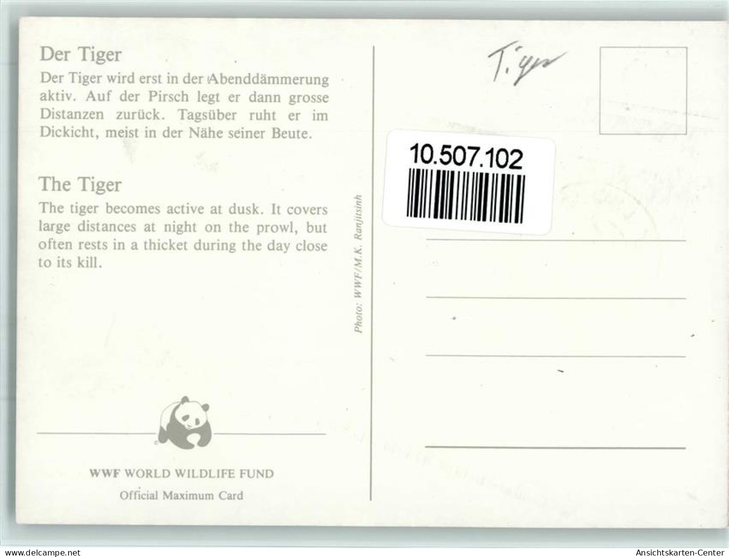 10507102 - Raubkatzen Tiger - WWF Karte Mit Briefmarke - Lions