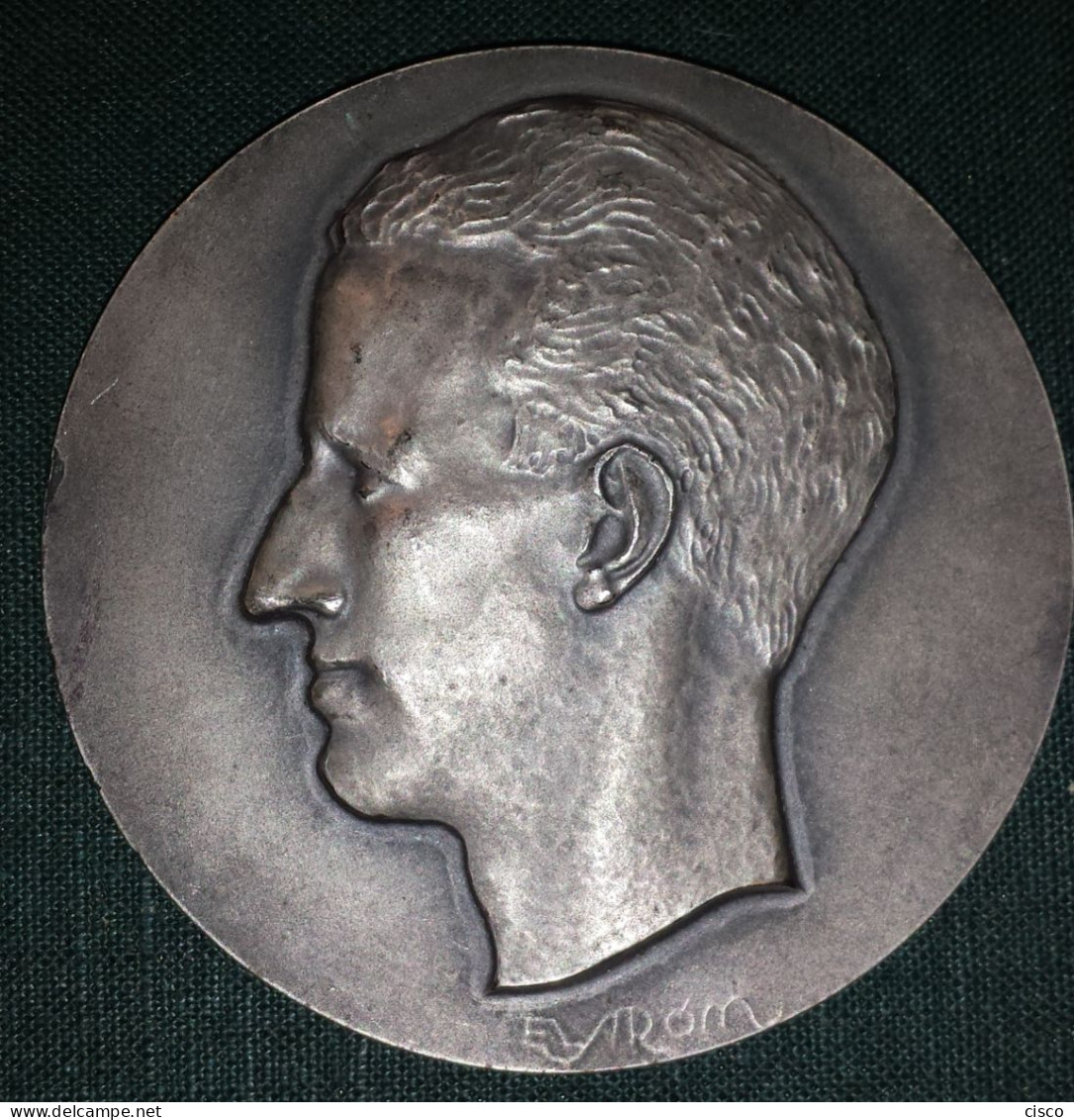 BELGIQUE Médaille Du Roi Baudouin Par ELSTROM - Adel