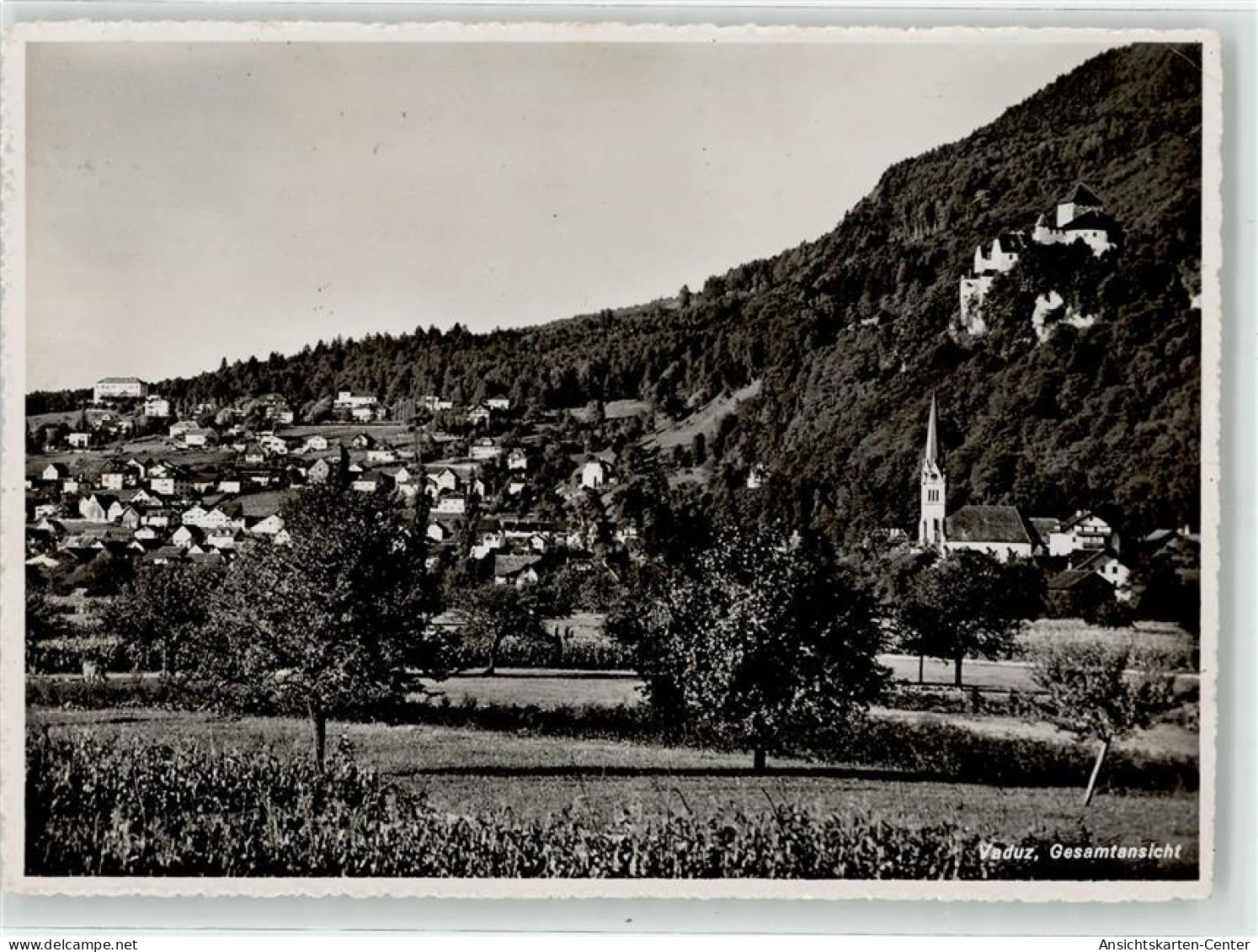 52131602 - Vaduz - Liechtenstein