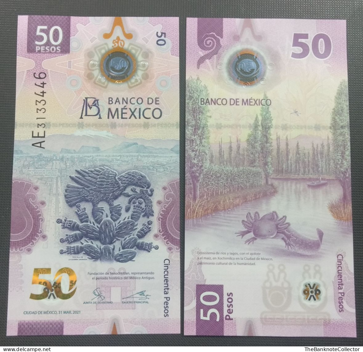 Mexico 50 Pesos 2021 Polymer Issue P-130 UNC "Banknote Of The Year" - Mexico