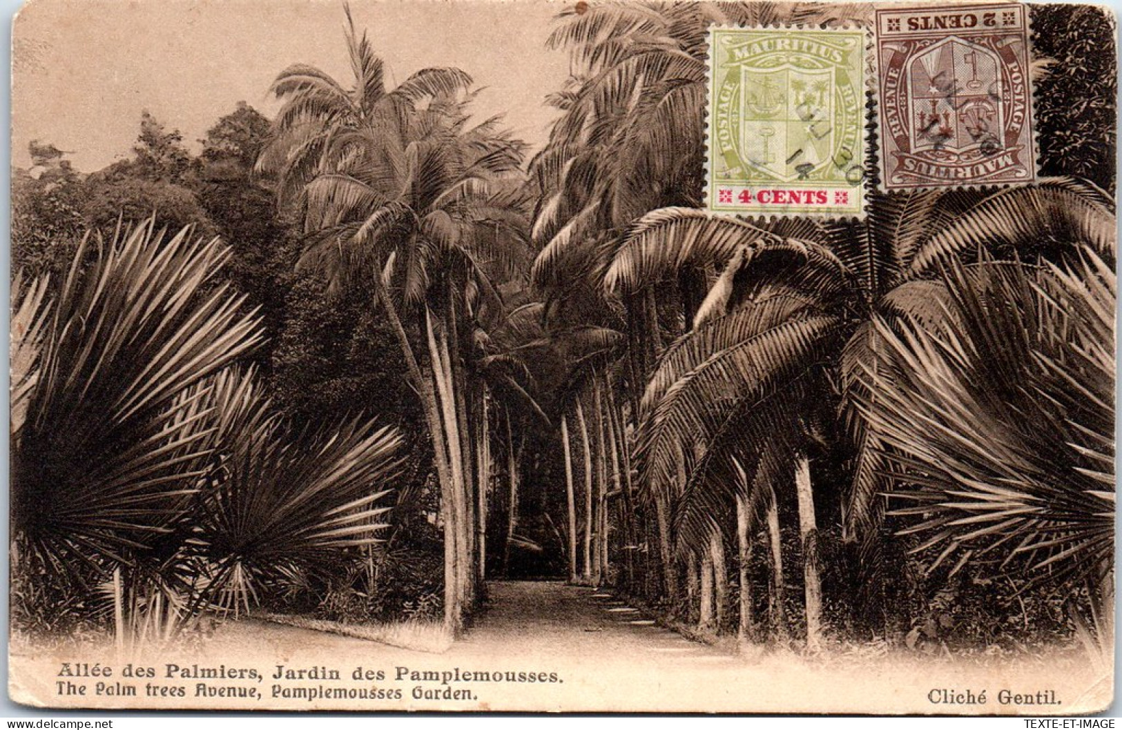 ILE MAURICE - Allee Des Palmiers, Jardin Des Pamplemousse  - Mauricio