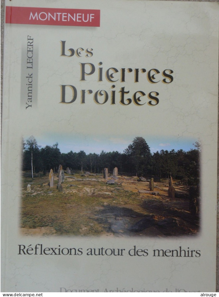 Les Pierres Droites, Réflexions Autour Des Menhirs, Yannick Lecerf, Monteneuf En Morbihan, Illustré - Archäologie