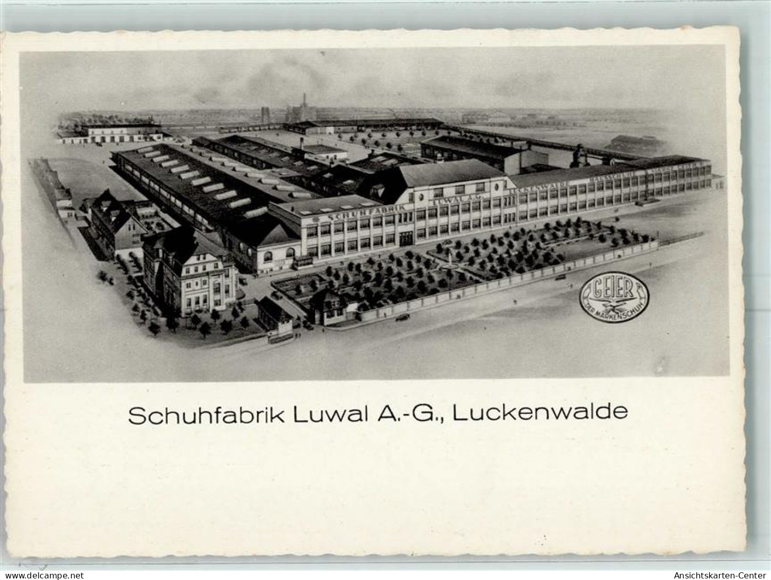 13424502 - Luckenwalde - Luckenwalde