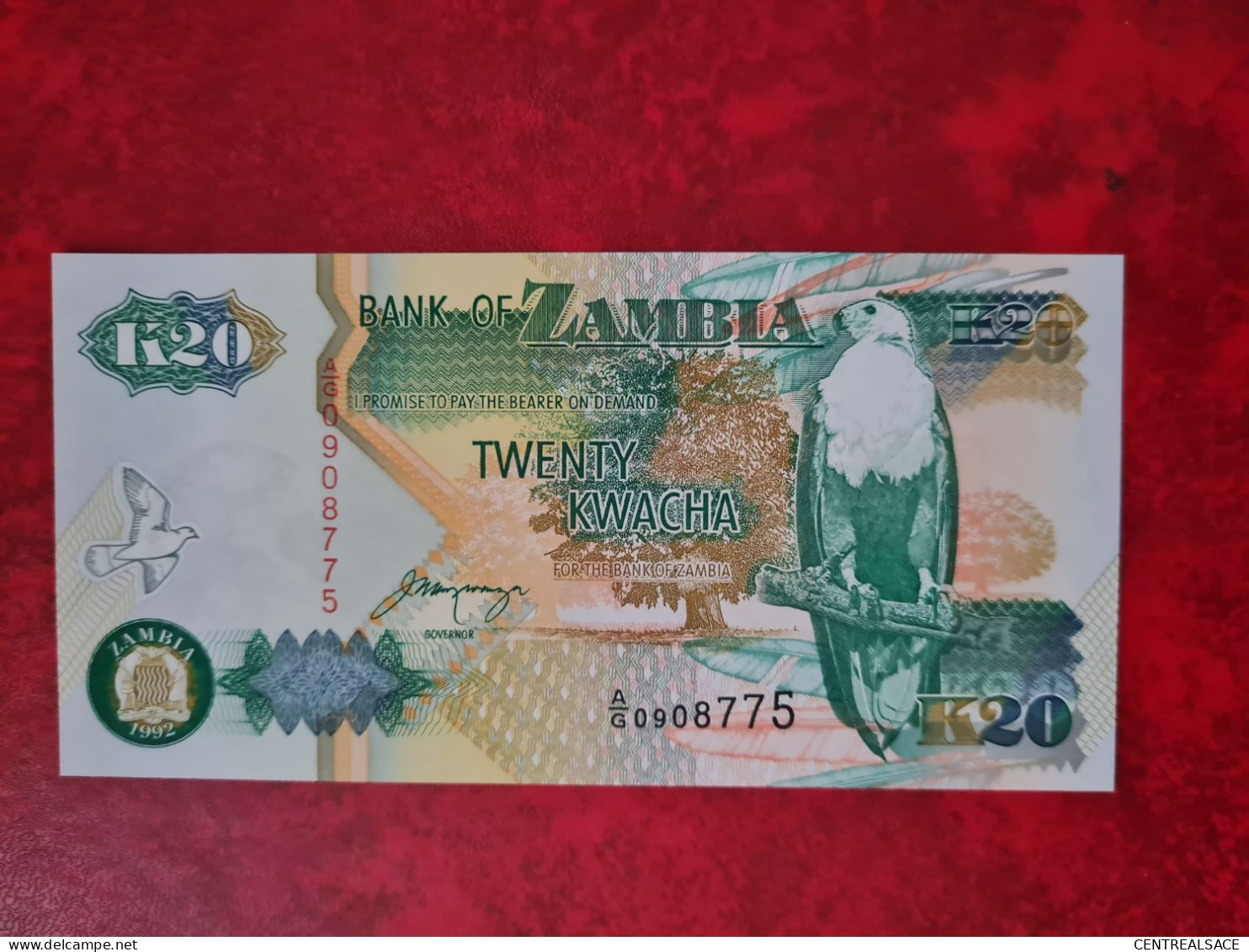 BILLET 20 KWACHA ZAMBIA ZAMBIE 1992 - Unclassified