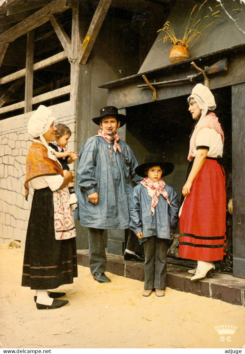 CPM-24- LES EYZIES - Costumes Régionaux à LA FÉLIBRÉE Des Eyzies - Cliché H. Perrien * 2scans - Les Eyzies