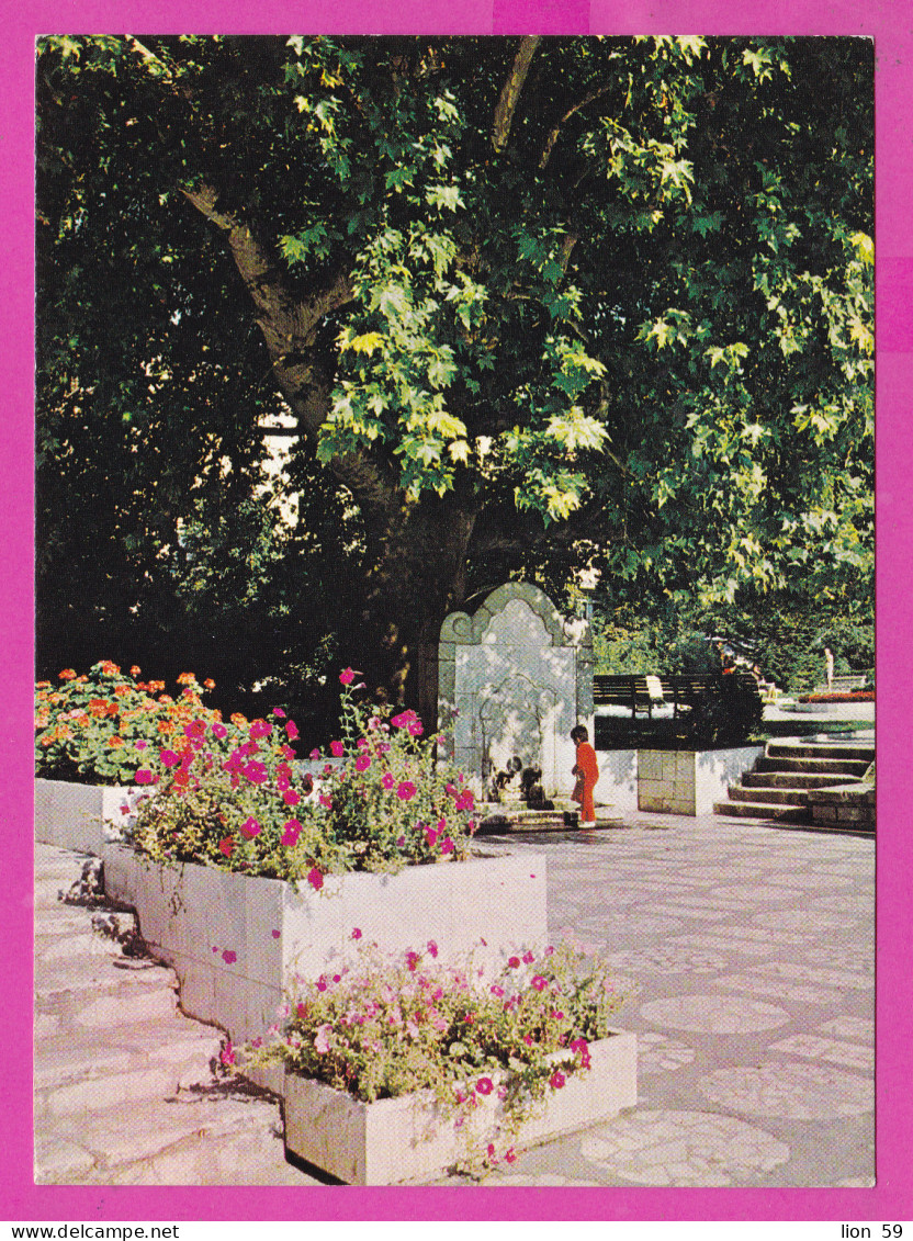 310830 / Bulgaria - Sandanski - Old Plane Tree Garden , Fountain Little Boy 1980 PC Septemvri , Bulgarie  - Trees