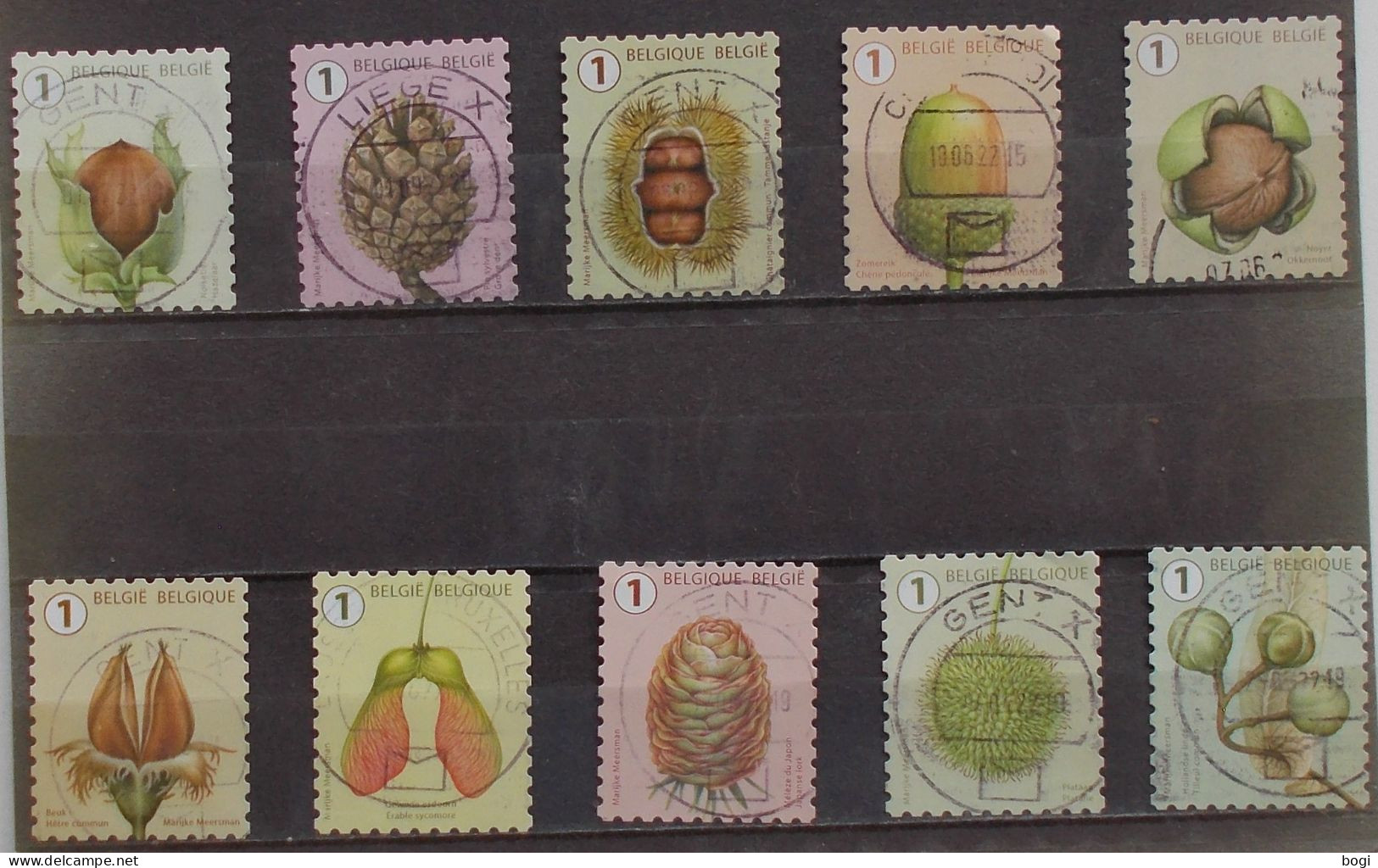 2021 Boomvruchten - Used Stamps