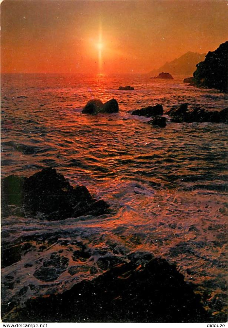 Coucher De Soleil - CPM - Voir Scans Recto-Verso - Contraluz