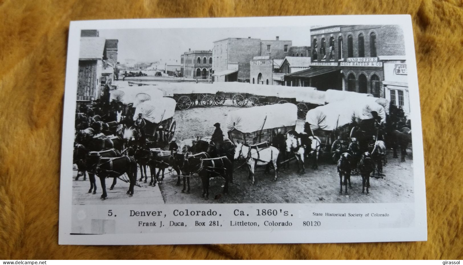 CPM REPRO DOCUMENT DENVERS COLORADO 1860 RONDE D ATTELAGES CHEVAUX WESTERN  PHOTO KODAK FRANK DUCA 5 - Denver