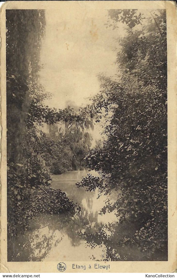 Zemst Teich bei Elewyt, gelaufen 1927
