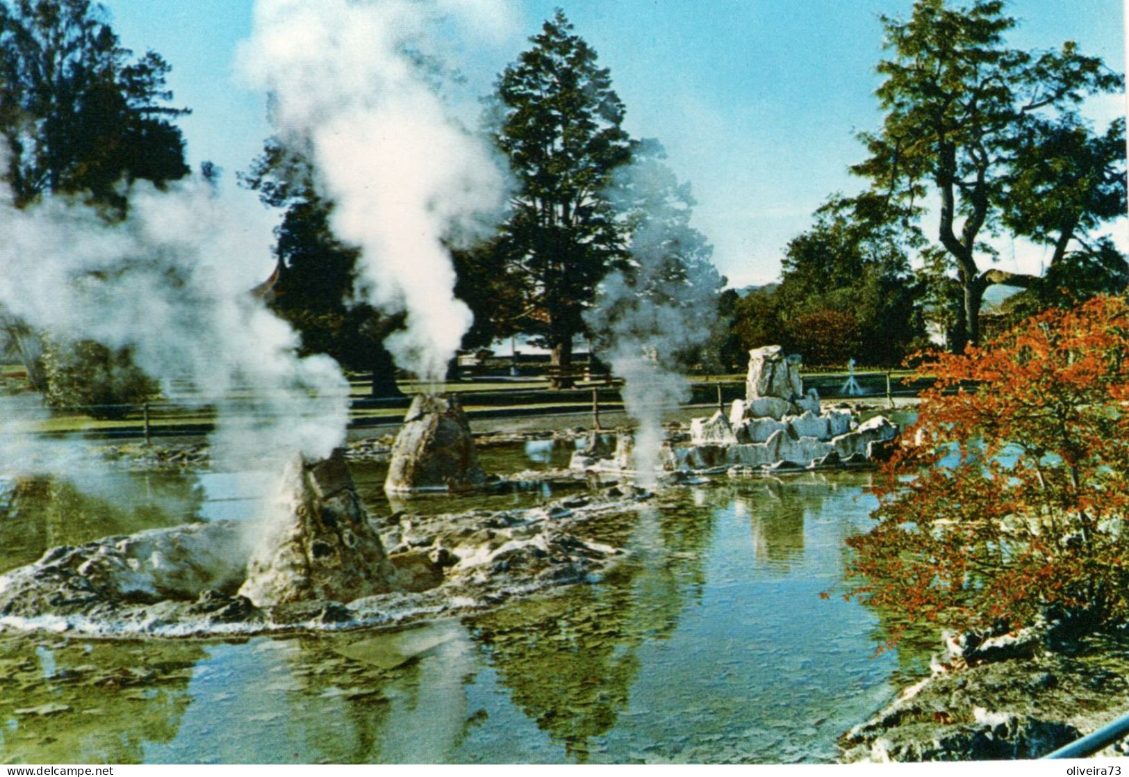 New Zealand Rotorua - THERMAL VENTS IN GOVERNMENT GARDENS - Neuseeland