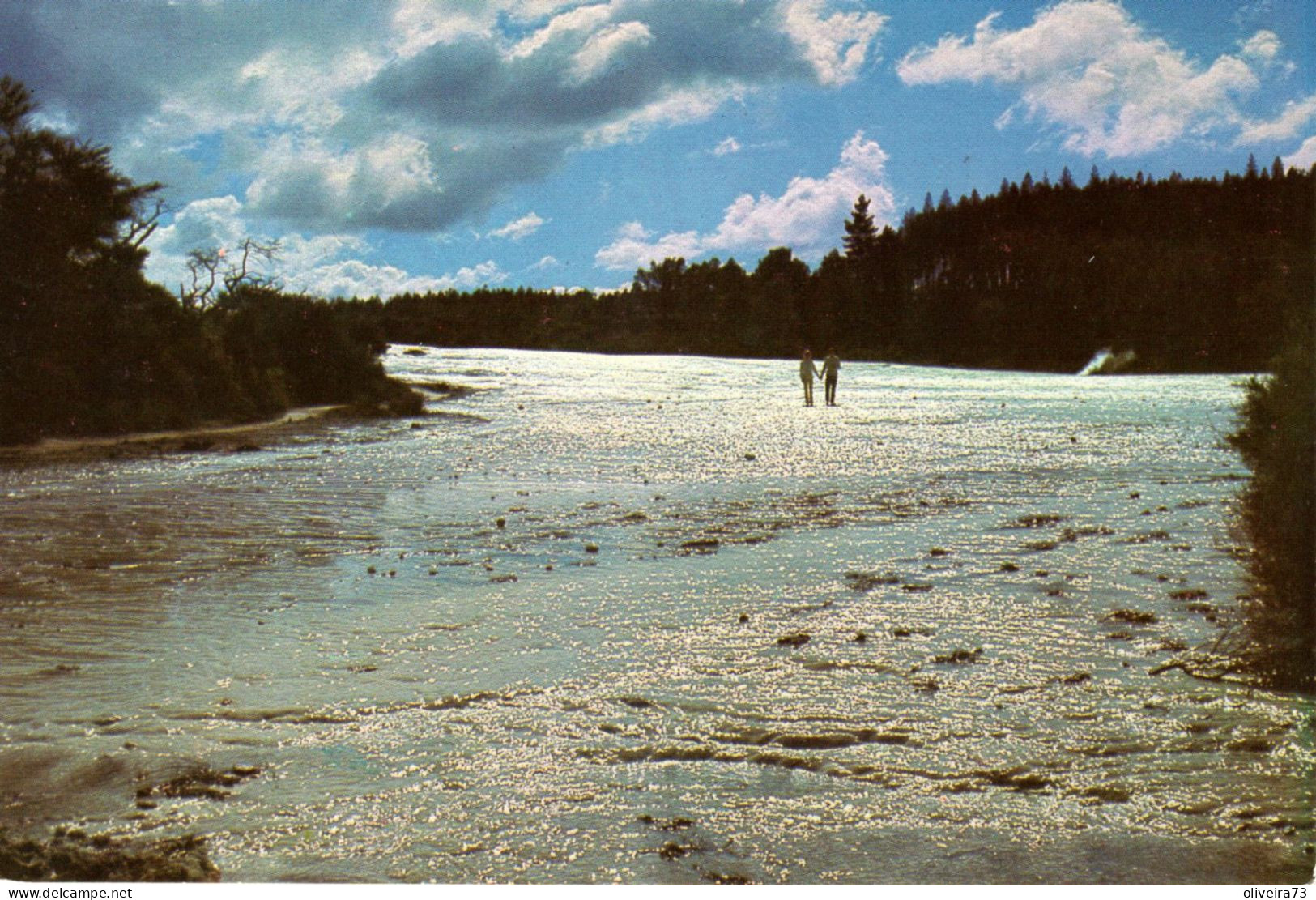 New Zealand - Rotorua - The Terraces. Waiotapu - Neuseeland