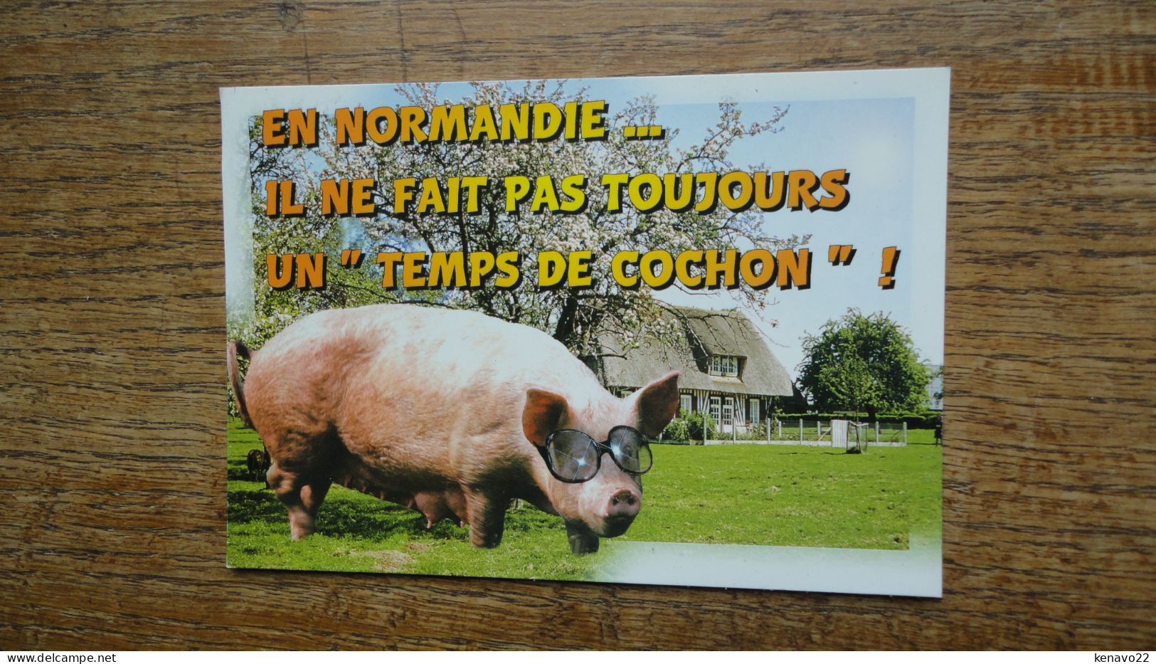 En Normandie ... Il Ne Fait Pas Toujours Un " Temps De Cochon " ! - Basse-Normandie