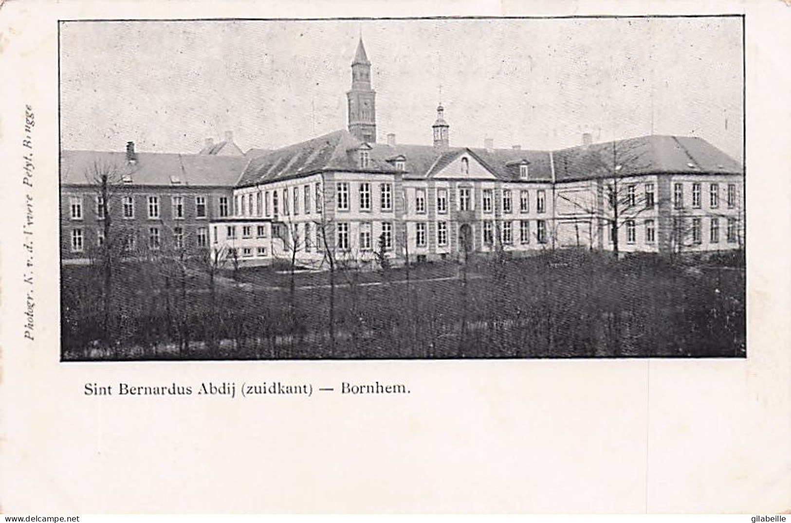 BORNHEM  - BORNEM -  Sint Bernadus Abdij ( Zuidkant ) - Bornem