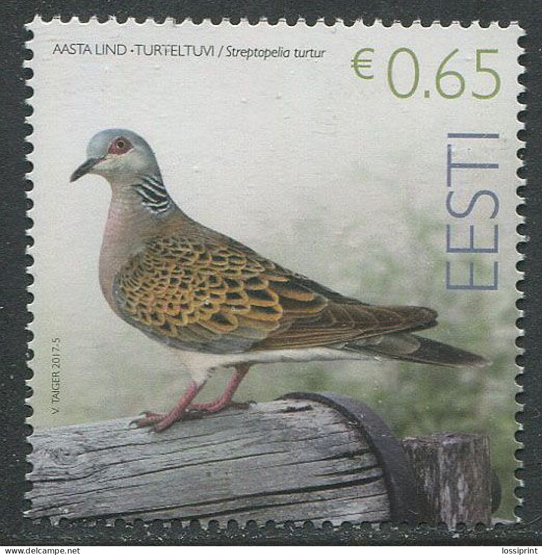 Estonia:Unused Stamp Bird Of The Year, Dove, Pigeon, 2017, MNH - Estonia