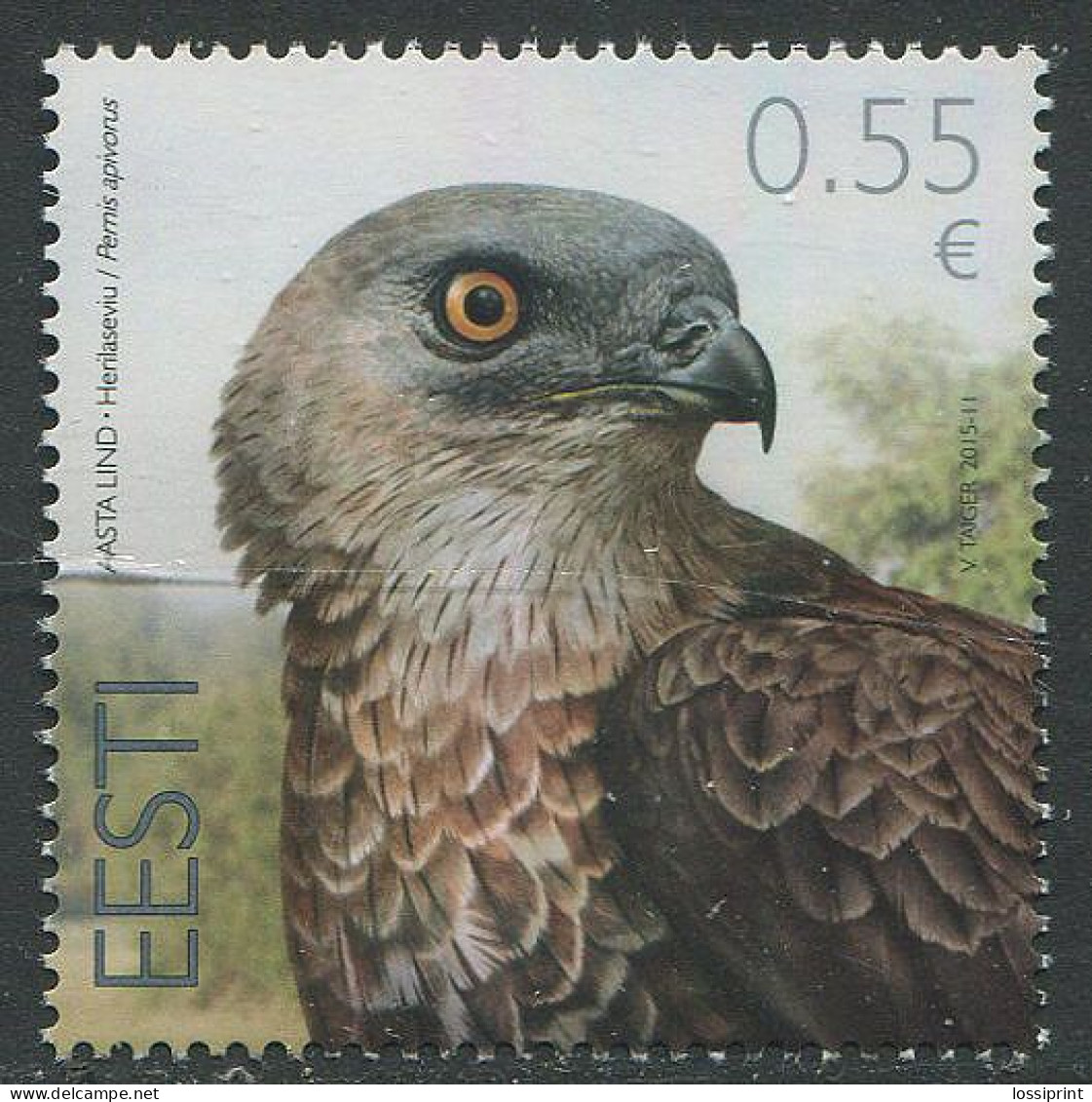 Estonia:Unused Stamp Bird Of The Year, Falcon, 2015, MNH - Estonia