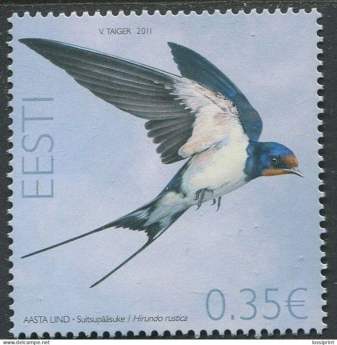 Estonia:Unused Stamp Bird Of The Year, Swallow, 2011, MNH - Estonia