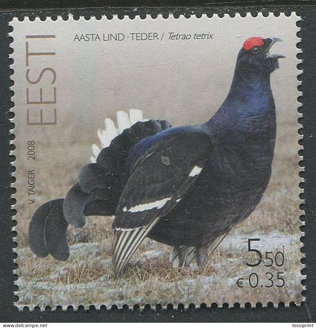 Estonia:Unused Stamp Bird Of The Year, Grouse, 2008, MNH - Estonie