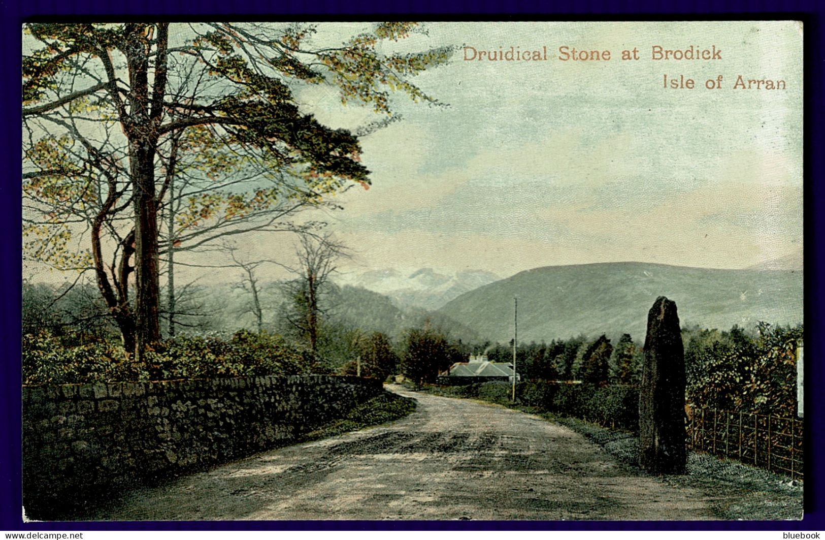 Ref 1640 - Early Druid Postcard - Druidical Stone At Brodick - Isle Of Arran Ayrshire - Ayrshire