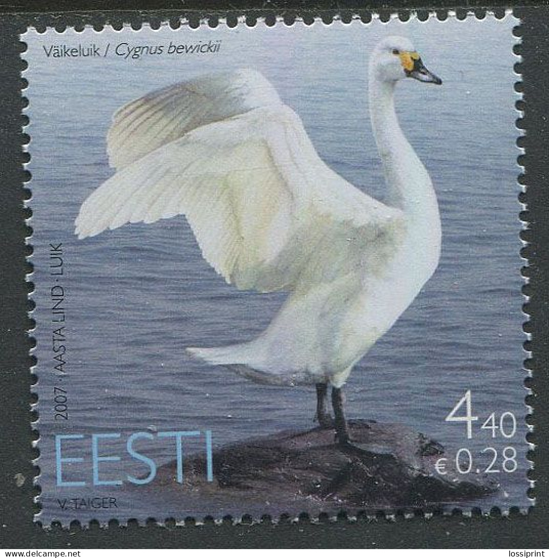 Estonia:Unused Stamp Bird Of The Year, Swan, 2007, MNH - Estonie