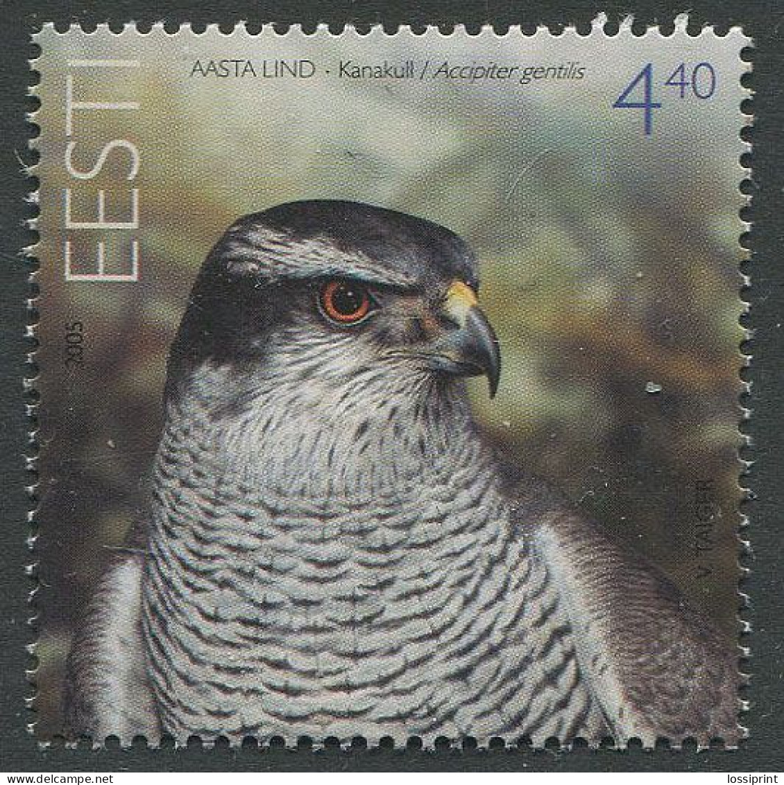 Estonia:Unused Stamp Bird Of The Year, Owl, 2005, MNH - Estonie