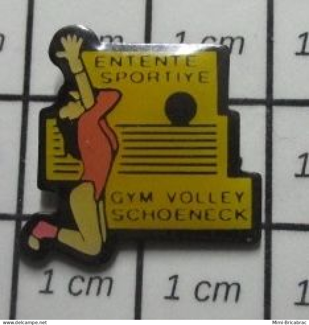 615b Pin's Pins / Beau Et Rare : SPORTS / ENTENTE SPORTIVE SCHOENECK GYM VOLLEY - Voleibol