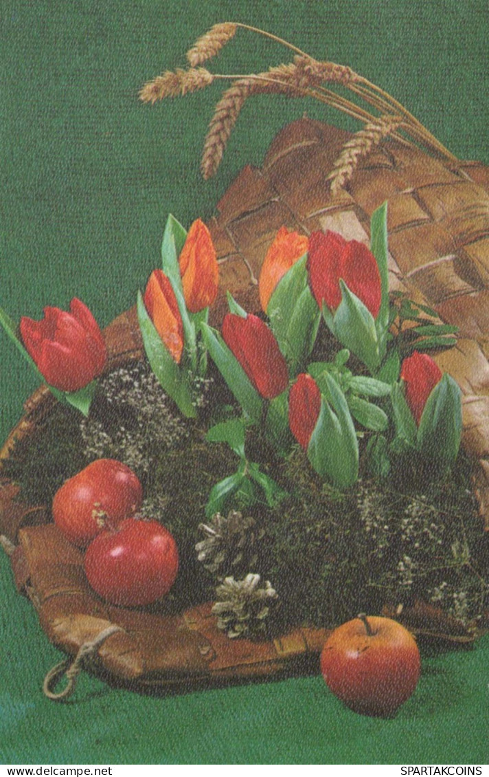 FLOWERS Vintage Postcard CPA #PKE527.GB - Flowers