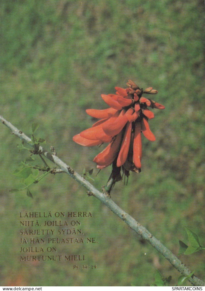 FLOWERS Vintage Postcard CPSM #PBZ713.GB - Flowers