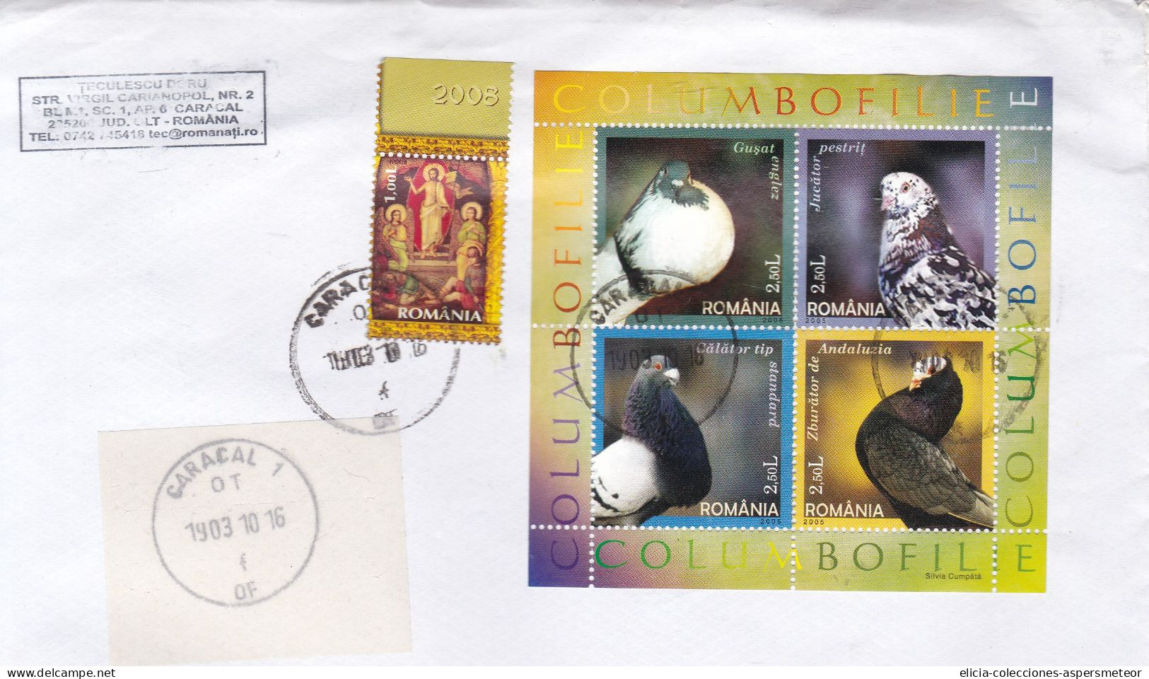 Romania - 2008 - Letter - Sent From Caracal To Buenos Aires, Argentina - Caja 30 - Covers & Documents