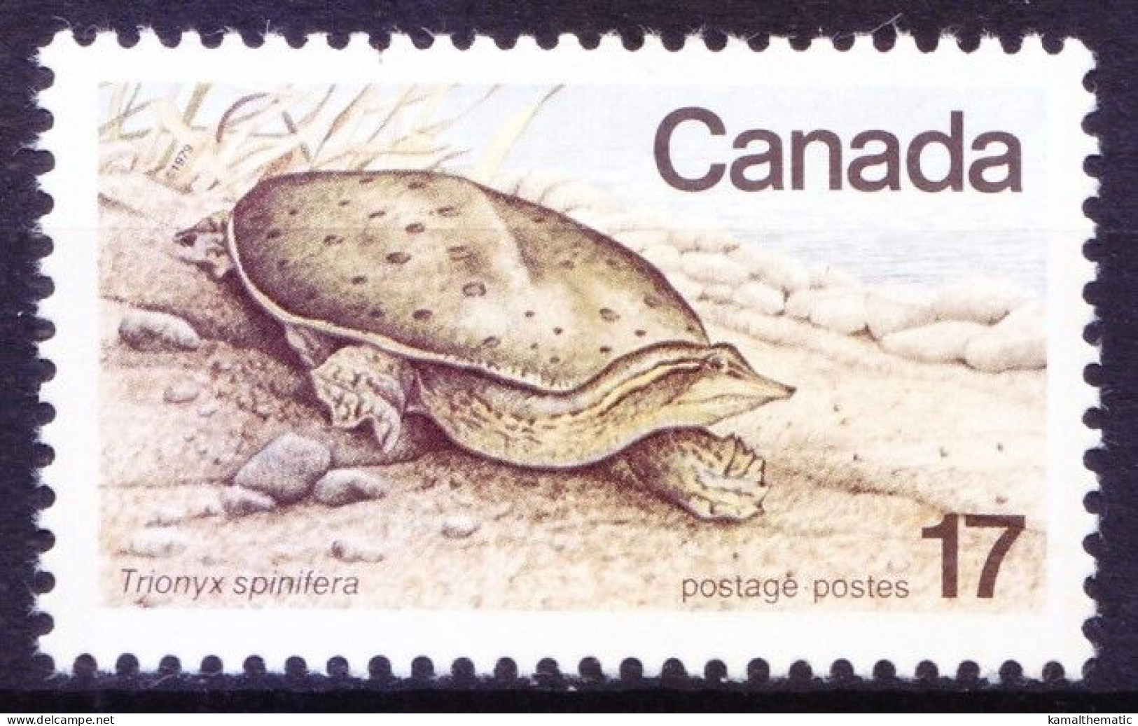 Canada 1979 MNH, Eastern Spiny Softshell Turtle (Trionyx Spinifera) - Turtles