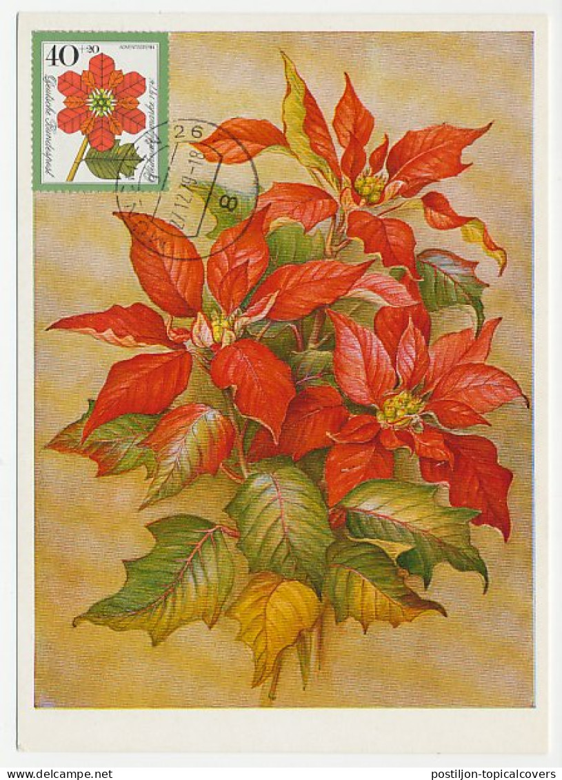 Maximum Card Germany 1979 Plant - Poinsettia - Weihnachten