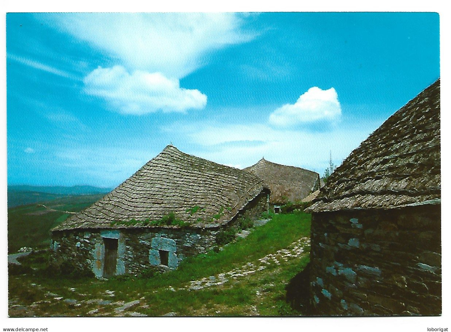 POBLADO PREHISTORICO ( PALLOZAS ).-  O CEBREIRO / LUGO.- ( ESPAÑA ). - Lugo