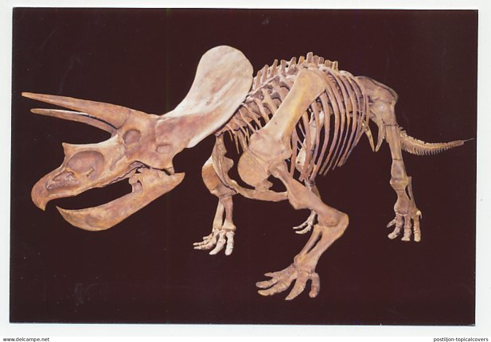 Postal Stationery China 2006 Fossil - Triceratops - Prehistoria