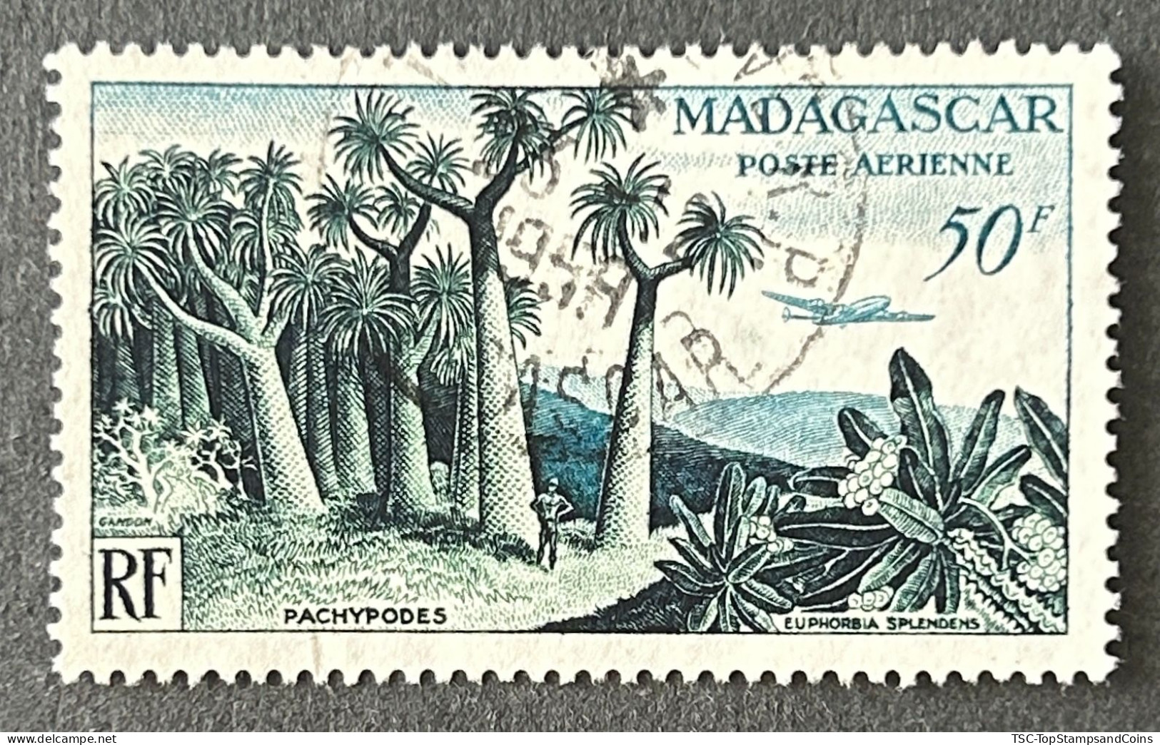 FRMGPA75U - Airmail - Local Flora - 50 F Used Stamp  - Madagascar - 1954 - Usados