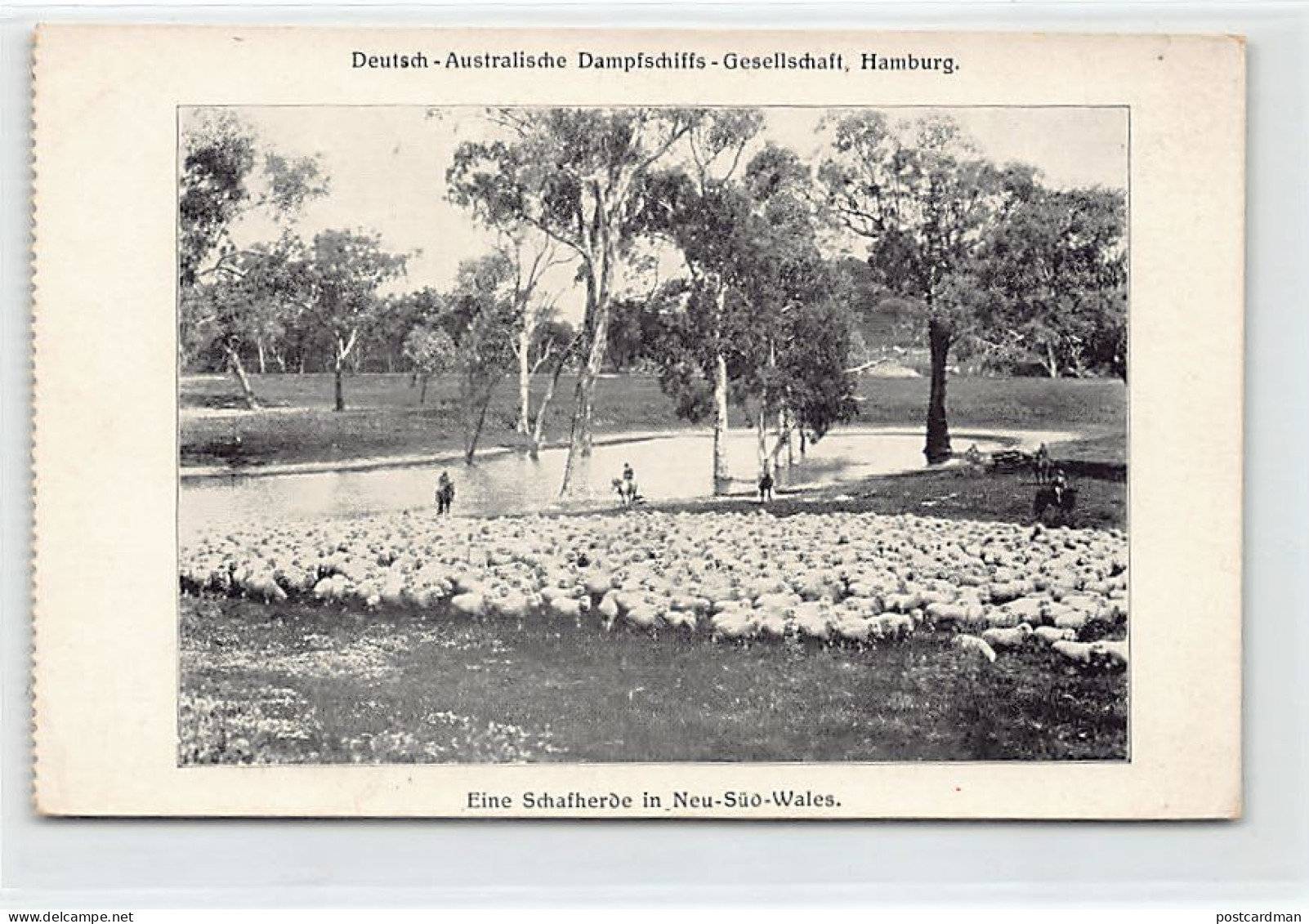 Australia - New South Wales - A Flock Of Sheep - Publ. Deutsch-Australische Dampfschiffs-Gesellschaft, Hamburg (German-A - Autres & Non Classés