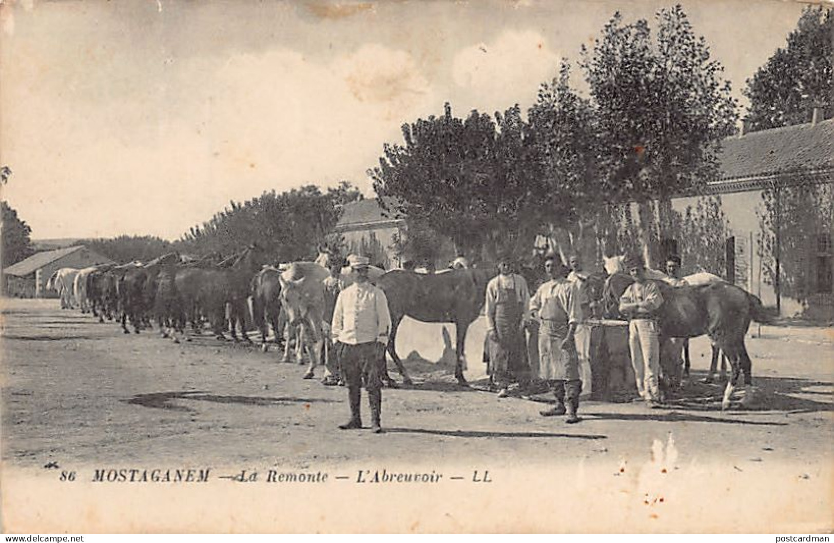 Algérie - MOSTAGADEM - La Remonte - L'abreuvoir - Ed. L.L. 86 - Mostaganem
