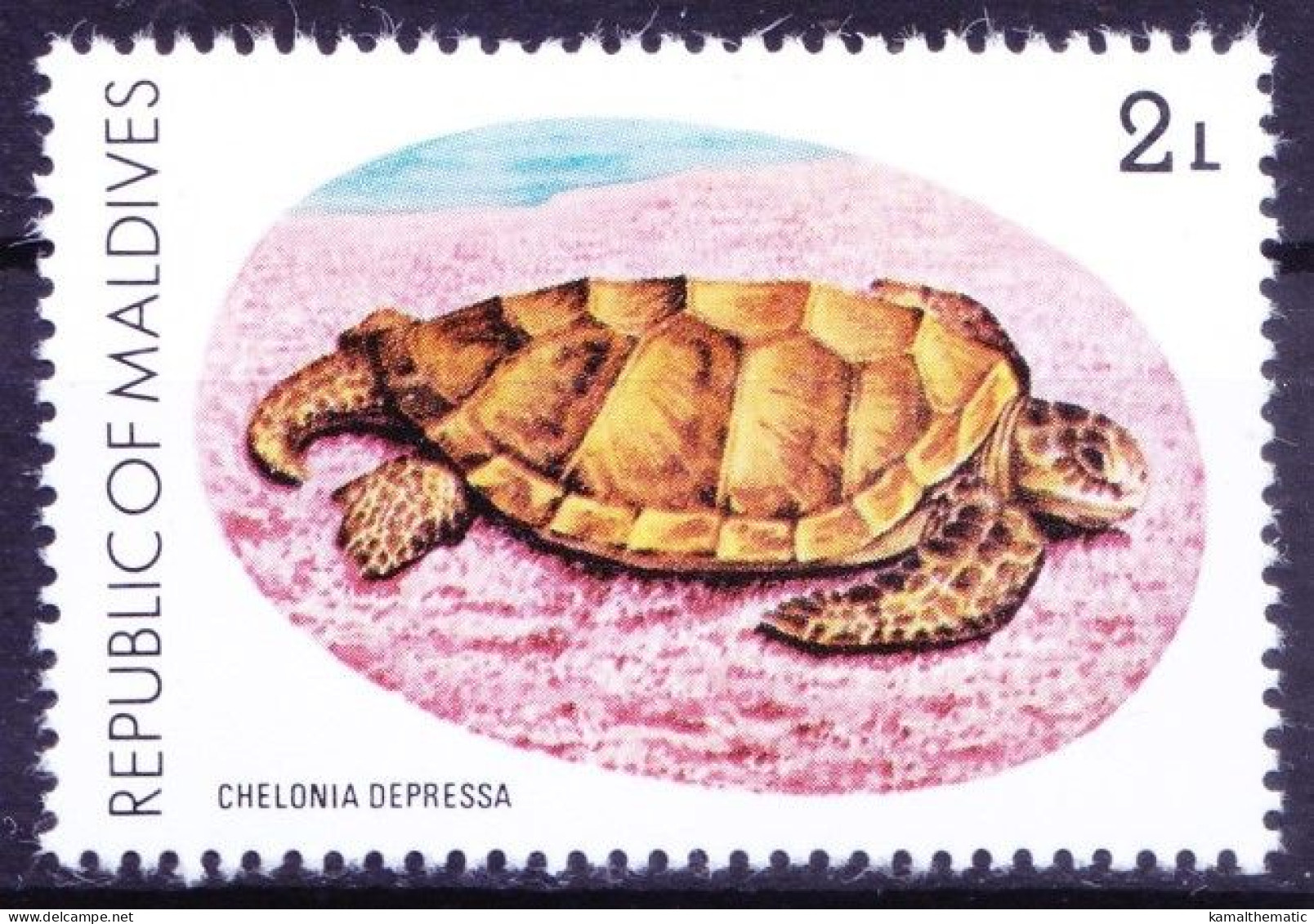 Maldives 1980 MNH, Australian Flatback Turtle (Chelonia Depressa) - Turtles