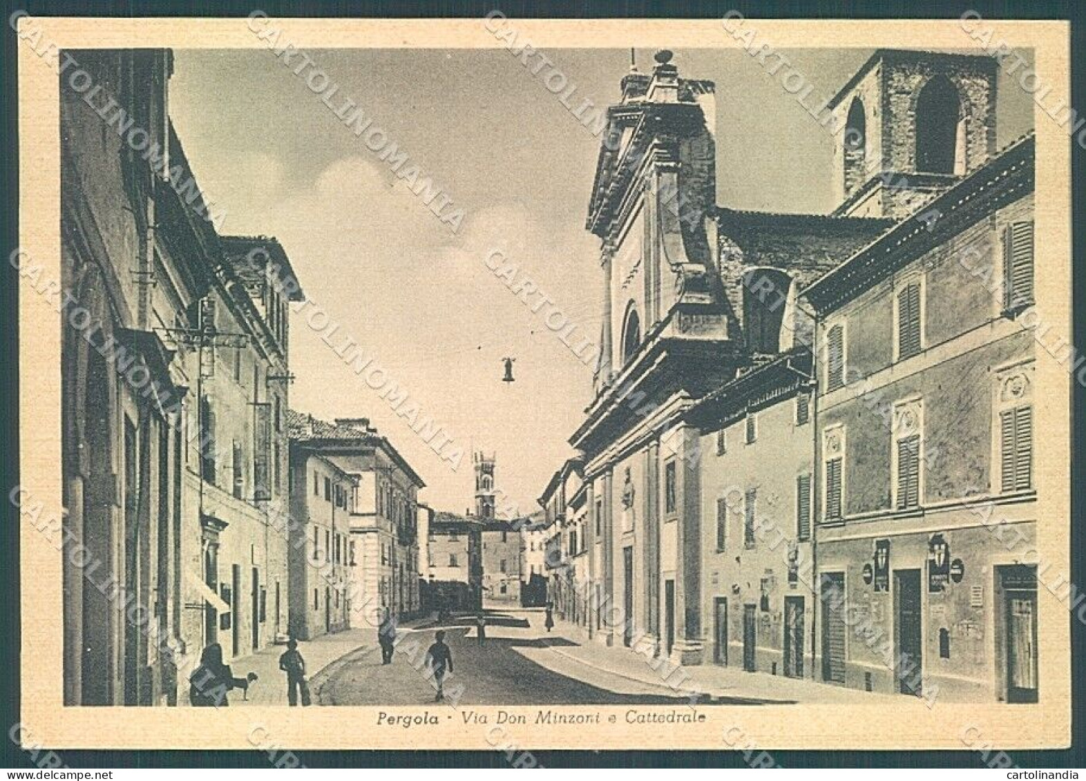 Urbino Pesaro Pergola Cattedrale Via Don Minzoni FG Cartolina JK4736 - Urbino