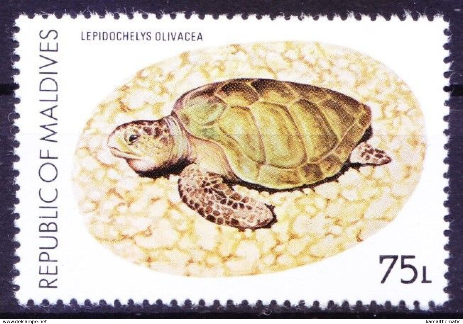 Maldives 1980 MNH, Olive Ridley Sea Turtle - Turtles