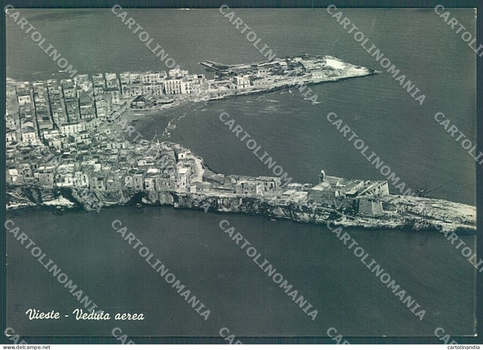 Foggia Vieste Veduta Aerea Foto FG Cartolina JK4139 - Foggia