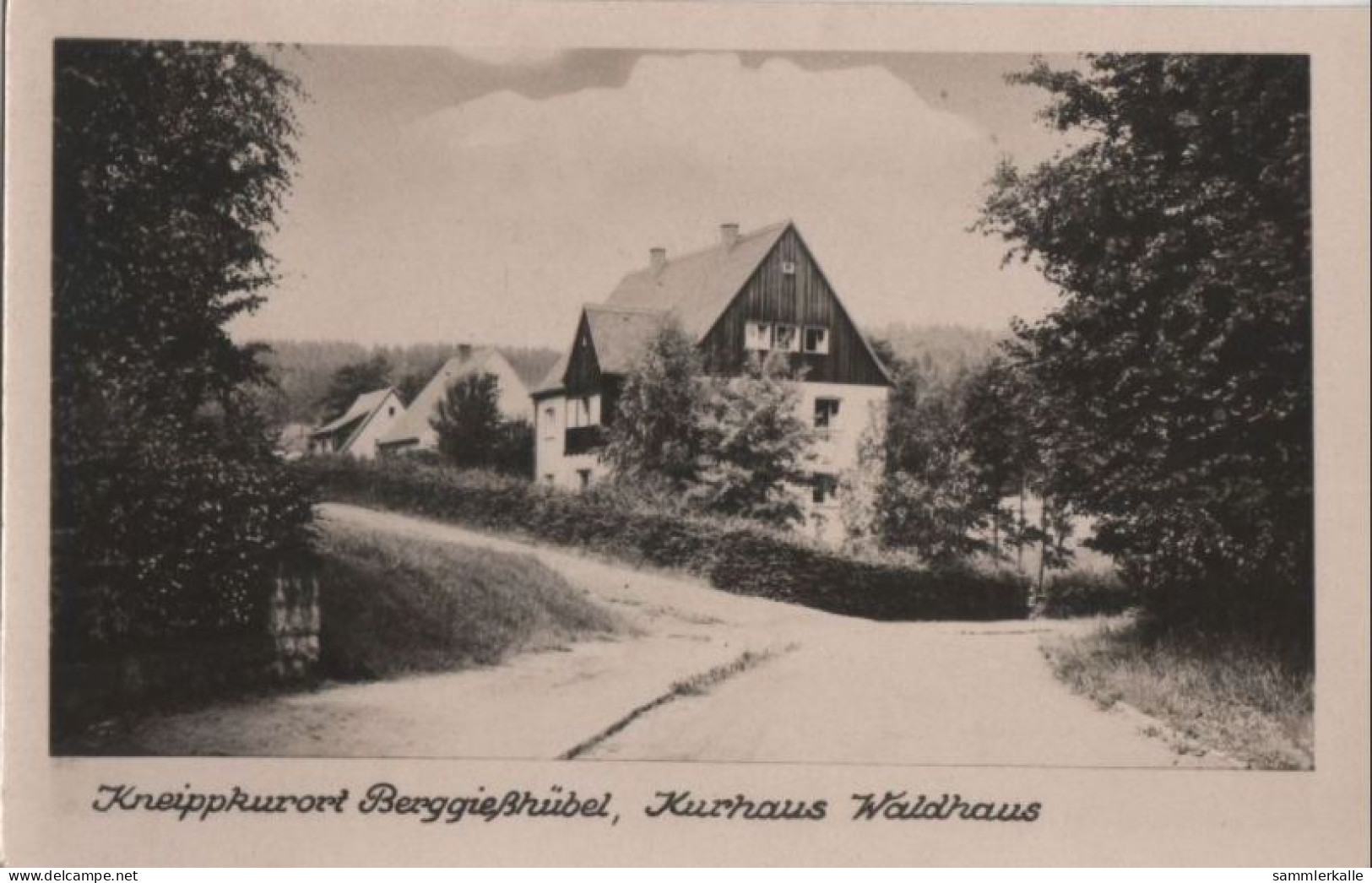 76639 - Berggiesshübel - Kurhaus Waldhaus - Ca. 1950 - Bad Gottleuba-Berggiesshuebel