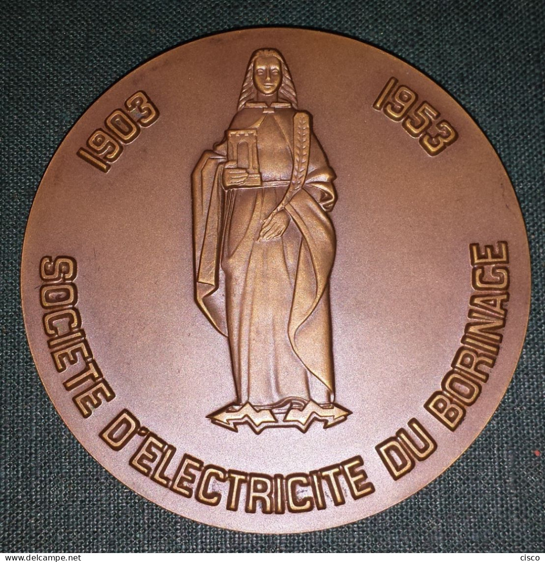 BELGIQUE Médaille DUBIE Beffroi De Mons - Electricité Du Borinage 1903 - 1953 - Professionali / Di Società