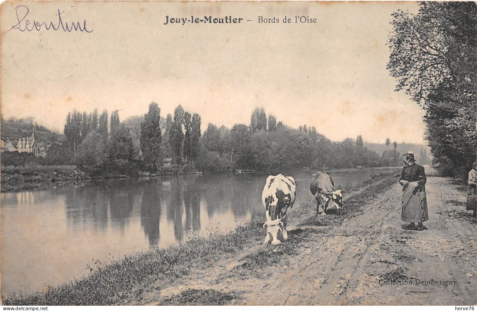 JOUY LE MOUTIER - Bords De L'Oise - Vache - Jouy Le Moutier