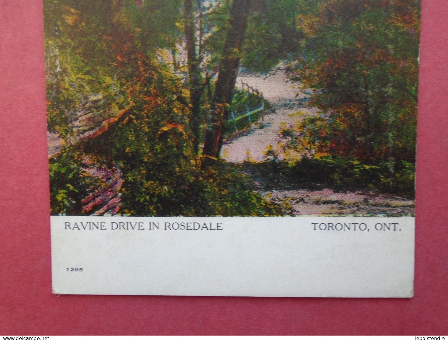 CPA   RAVINE DRIVE IN ROSEDALE  TORONTO , ONT    NON VOYAGEE - Toronto