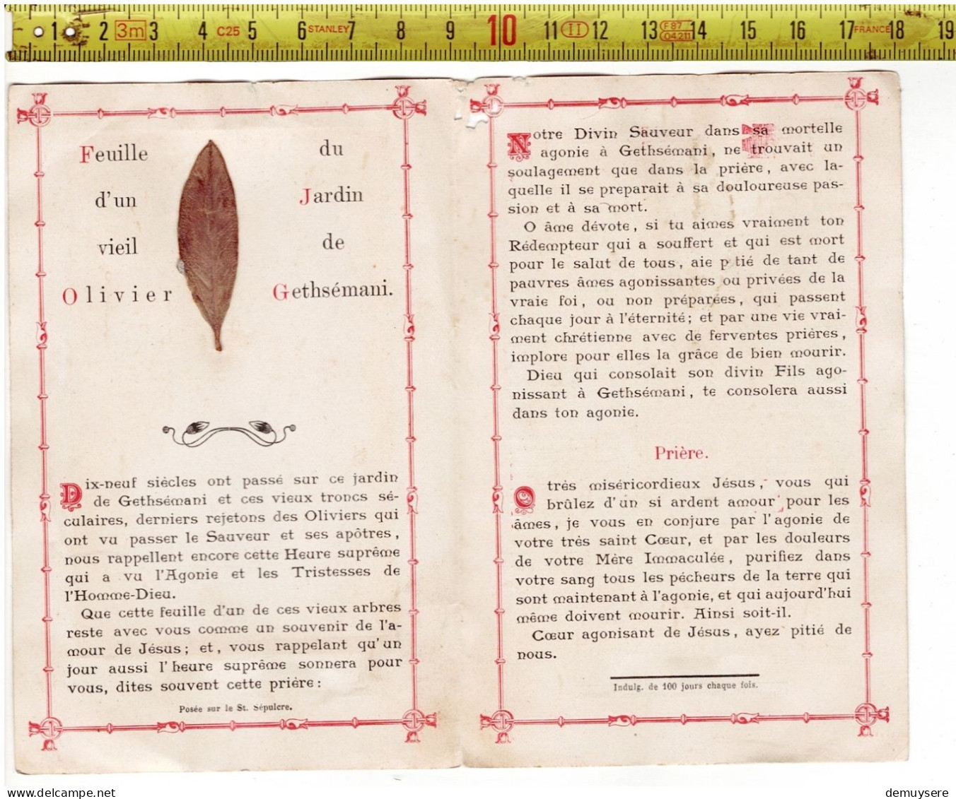 KL 5301 - FEUILLE D UN VIEIL OLIVIER DU JARDIN DE GETHSEMANI - Images Religieuses