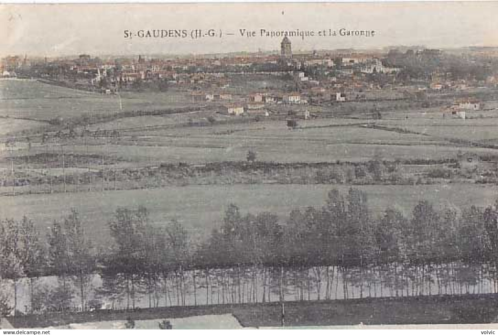 31 - ST-GAUDENS - Vue Panoramique Et La Garonne - Saint Gaudens